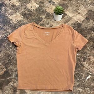 Wild Fable v neck crop top